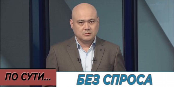 Без спроса. &laquo;По сути&raquo;