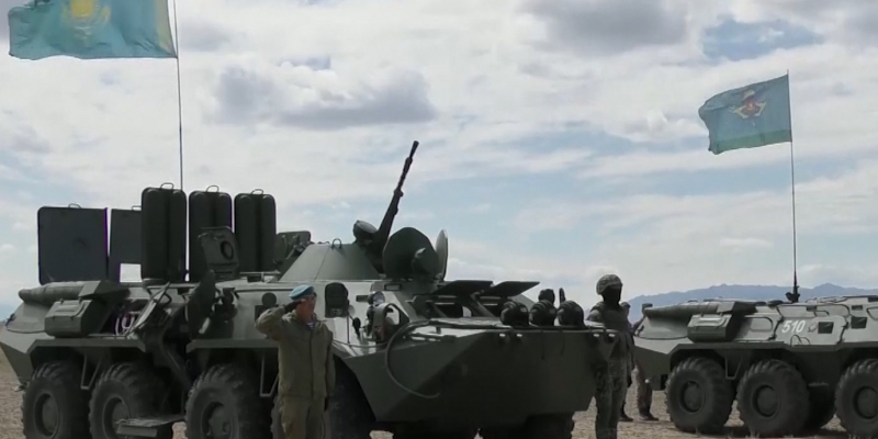 В Алматинской области военнослужащие встречают необычных гостей