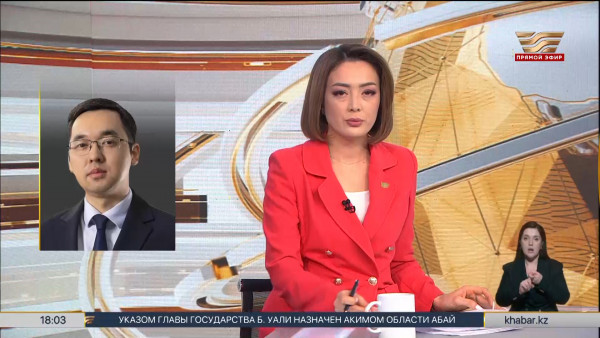 Руслан Желдибай назначен советником Президента &ndash; пресс-секретарем Президента РК