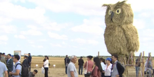 Аграрии Акмолинской области построили фигуру совы из соломы