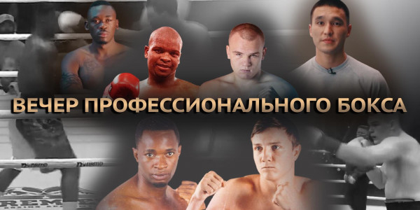 Кәсіпқой бокс кеші