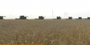 Президент Казахстана выслушал проблемы аграриев Акмолинской области
