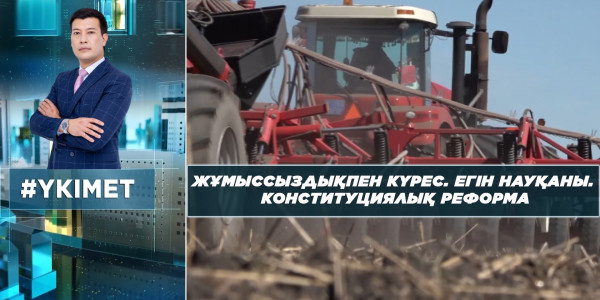 Жұмыссыздықпен күрес. Егін науқаны. Конституциялық реформа. &laquo;Үкімет&raquo;