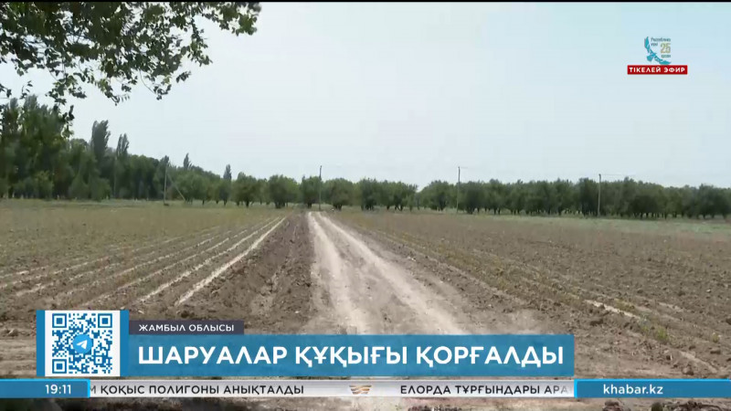 Жамбыл облысында 2 мың гектар жер шаруаларға қайтарылды