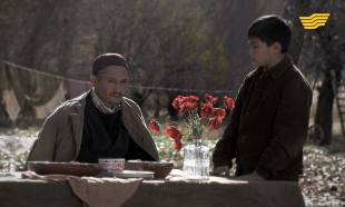 &laquo;Ақылдың кілті. Өмірдастан&raquo; 12 серия