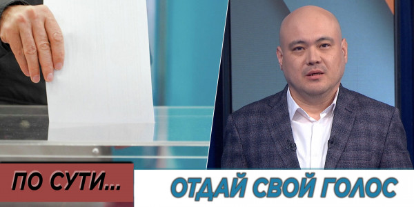 Отдай свой голос. &laquo;По сути&raquo;