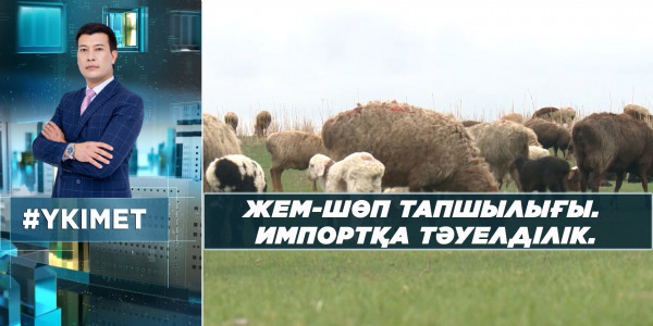 Жем-шөп тапшылығы. Импортқа тәуелділік. &laquo;Үкімет&raquo;