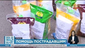 Алматинцы отправили 10 тонн гумпомощи пострадавшим от паводка