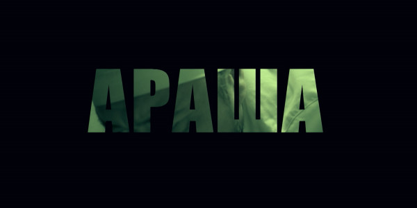 &laquo;Мен Қазақстанды және қазақстандықтарды не үшін жақсы көремін&raquo;. Араша