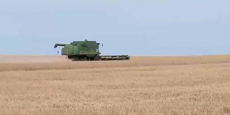 Казахстан увеличит поставки зерновой продукции в Китай