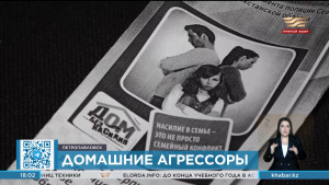 В Петропавловске 9 человек стали жертвами семейно-бытовых преступлений