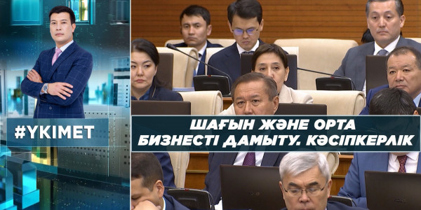 Шағын және орта бизнесті дамыту. Кәсіпкерлік. &laquo;Үкімет&raquo;