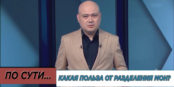 Какая польза от разделения МОН? &laquo;По сути&raquo;