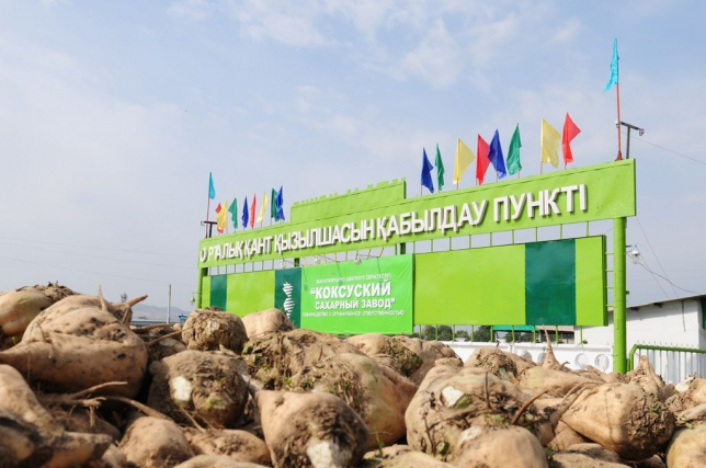 Алматы облысында кәсіпорындарды орналастыру картасы әзірленді