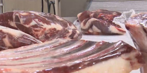 165 казахстанских предприятий по переработке мяса загружены лишь наполовину