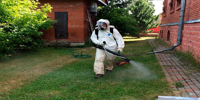 В Нур-Султане ведут работы по дезинсекции насекомых