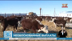 90 млн тенге субсидий выплатили аграриям в Акмолинской области