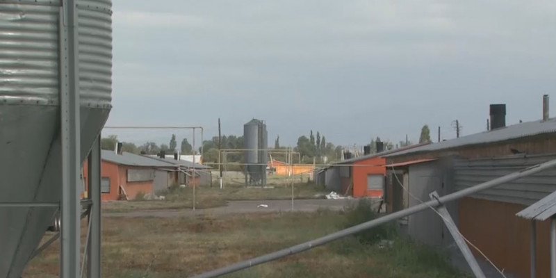 Еңбекшіқазақ ауданындағы елді мекен тұрғындары құс фабрикасынан келетін күлімсі иістен тұншығып отыр
