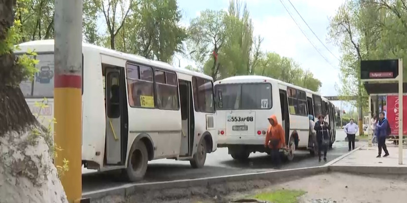 Свыше 200 автобусов по 15 направлениям не хватает в Таразе