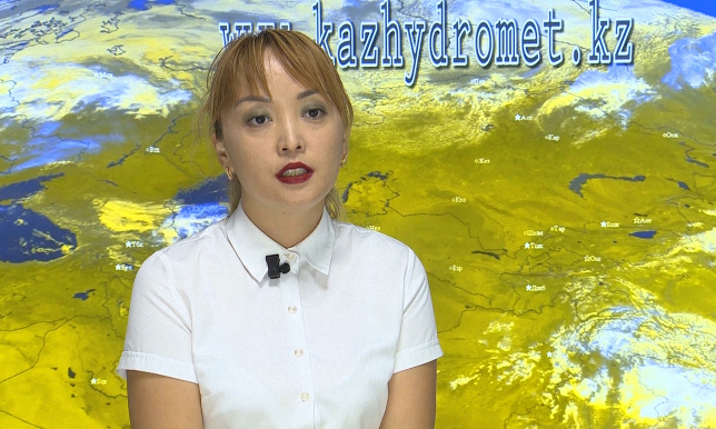 О сильной жаре предупреждают синоптики Казахстана