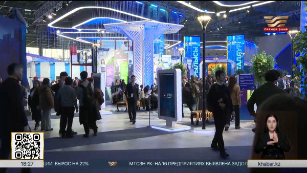 Специалистов по IT-дронам будут готовить в политехническом колледже Талдыкоргана