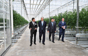 Президент Алматы облысындағы өндірістік жылыжай кешеніне барды