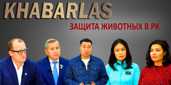Защита животных в РК. &laquo;Khabarlas&raquo;