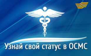 Узнай свой статус в ОСМС