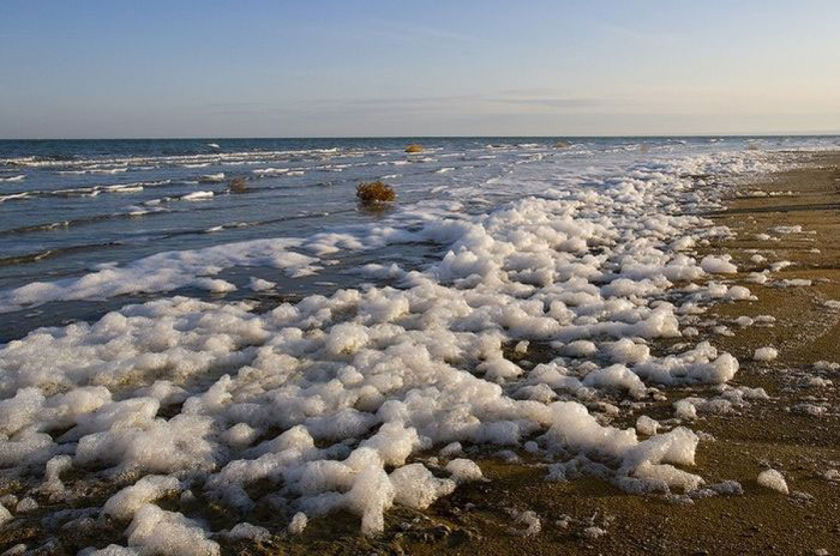 В недрах Арала нашли пресную воду