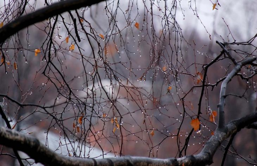 Еліміздің басым бөлігінде тұрақсыз ауа райы сақталады