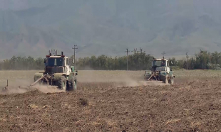 За 3 месяца возбуждено 28 уголовных дел по коррупции в сфере сельского хозяйства