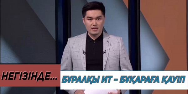 Бұралқы ит &ndash; бұқараға қауіп. &laquo;Негізінде&hellip;&raquo;