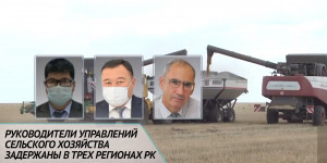 Руководители управлений сельского хозяйства задержаны в трех регионах РК