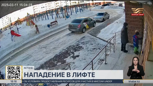 Нападение на ребенка в лифте: депутаты высказались о резонансном случае