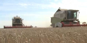 30 тыс. заявок подали казахстанские фермеры на получение субсидий