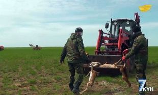 «Жетi күн» 07.06.2015