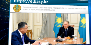 Н.Назарбаев встретился с заместителем председателя АНК Ж.Туймебаевым