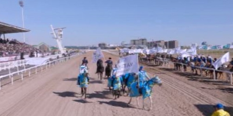 Новые специальности в конном спорте могут появиться в Казахстане