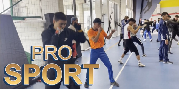 Бокстан әлем чемпионатына ұлттық құраманың дайындығы. &laquo;PRO SPORT&raquo;