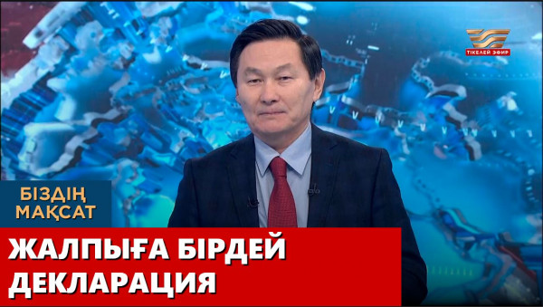 Жалпыға бірдей декларация. &laquo;Біздің мақсат&raquo;