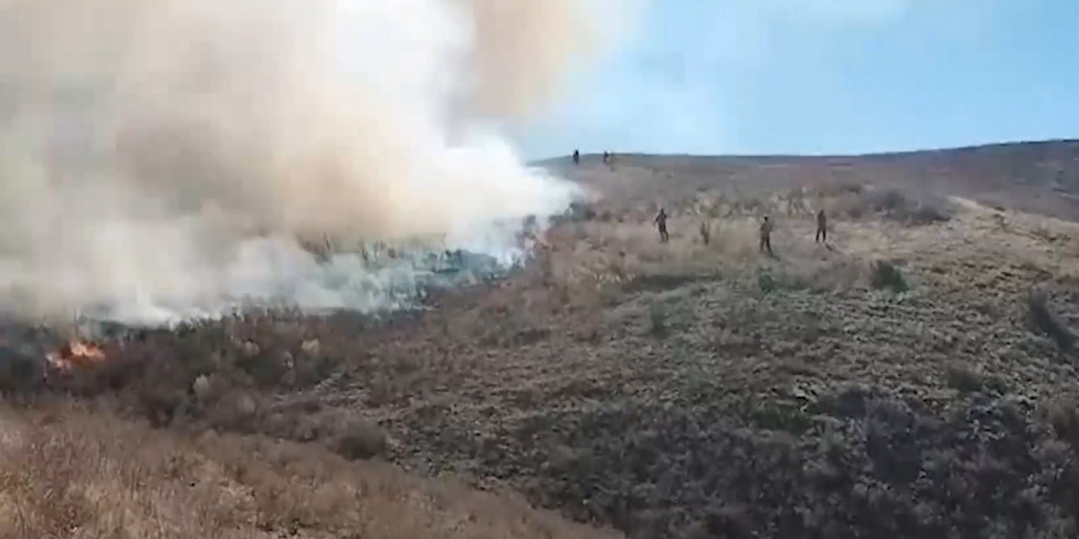 Күршім ауданында орман өртіне қарсы күрес жүргізіліп жатыр