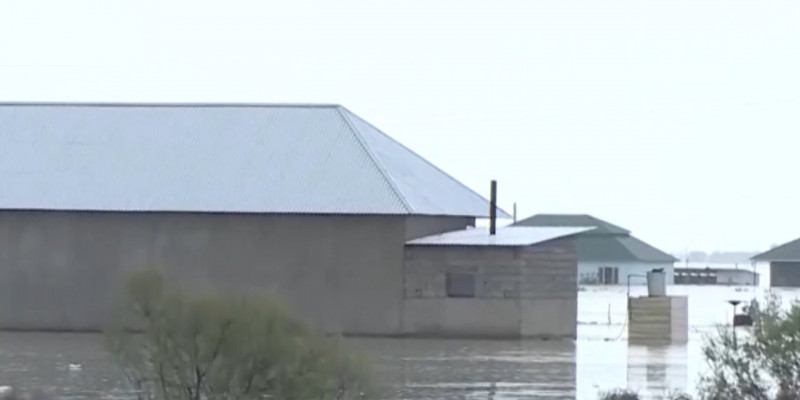 Спасательные операции от наводнения ведут в Туркестанской области