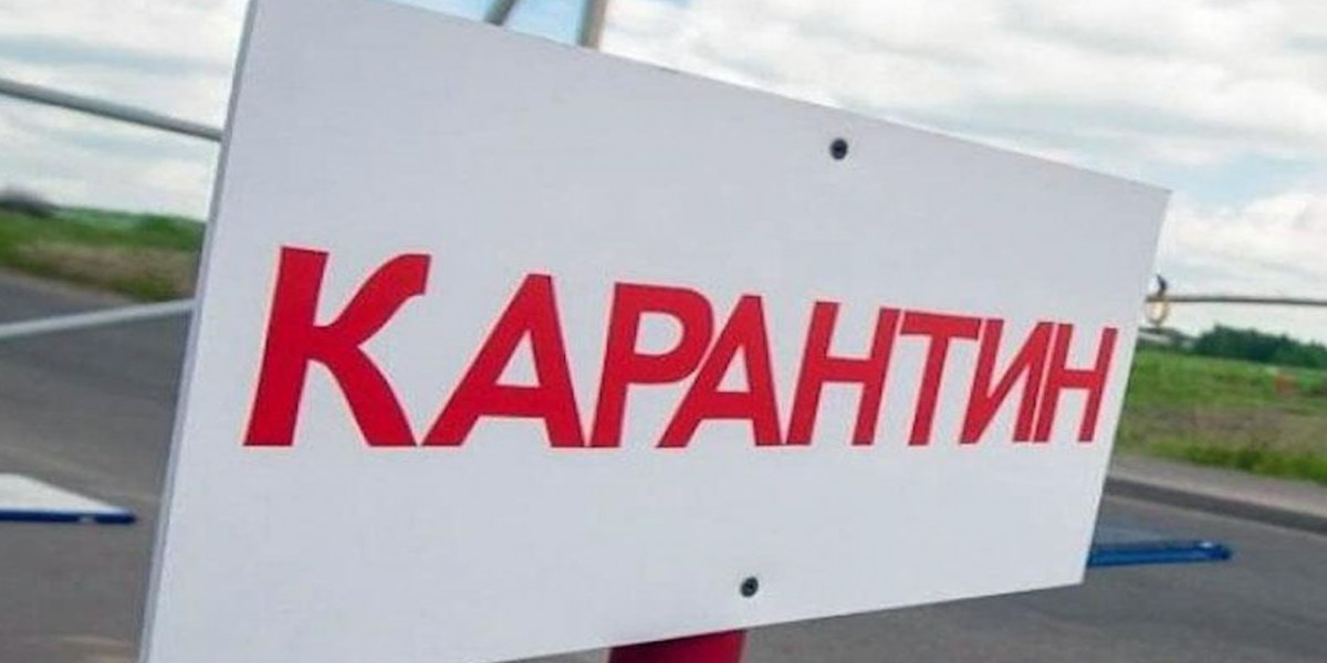 Решение о продлении карантина будет принято в ближайшее время