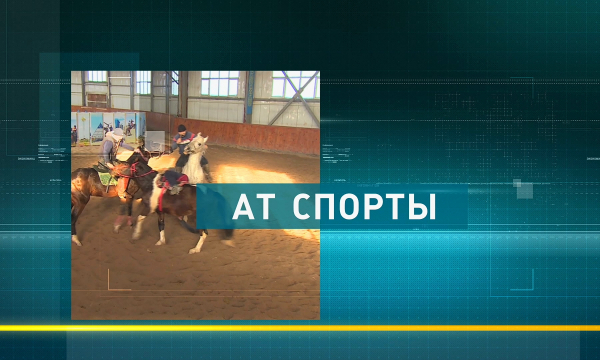 Елімізде ат спортының ахуалы қандай?