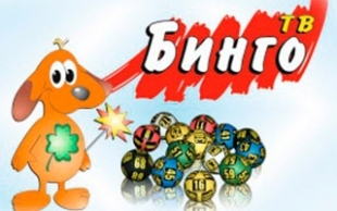 &laquo;ТВ Бинго&raquo; 26.01.2015