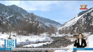 В Астане ожидается сильный снег с метелью, в Алматинской области – угроза лавин