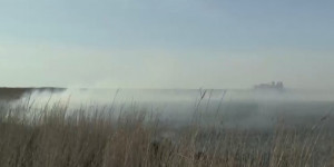 Пожар в Атырауском природном резервате «Акжайык» потушили