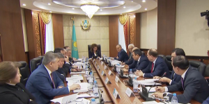 Дарига Назарбаева предложила пересмотреть программу развития АПК 