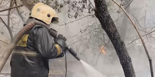 Абай облысындағы өрт: қандай сабақ алдық?