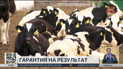 Встречные обязательства для получателей агросубсидий закрепили в Казахстане